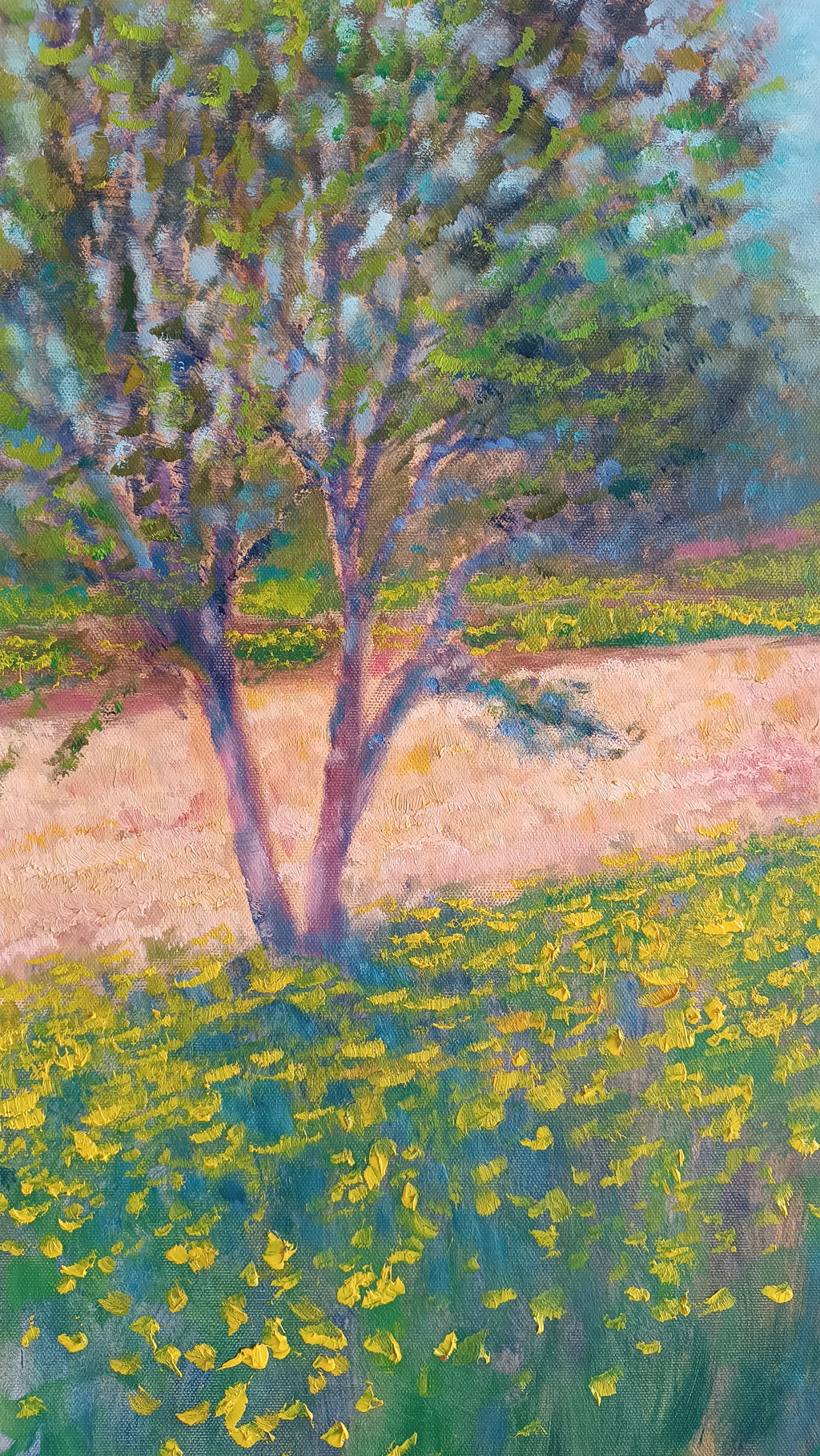 Prato in fiore II