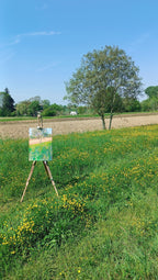 Prato in fiore II