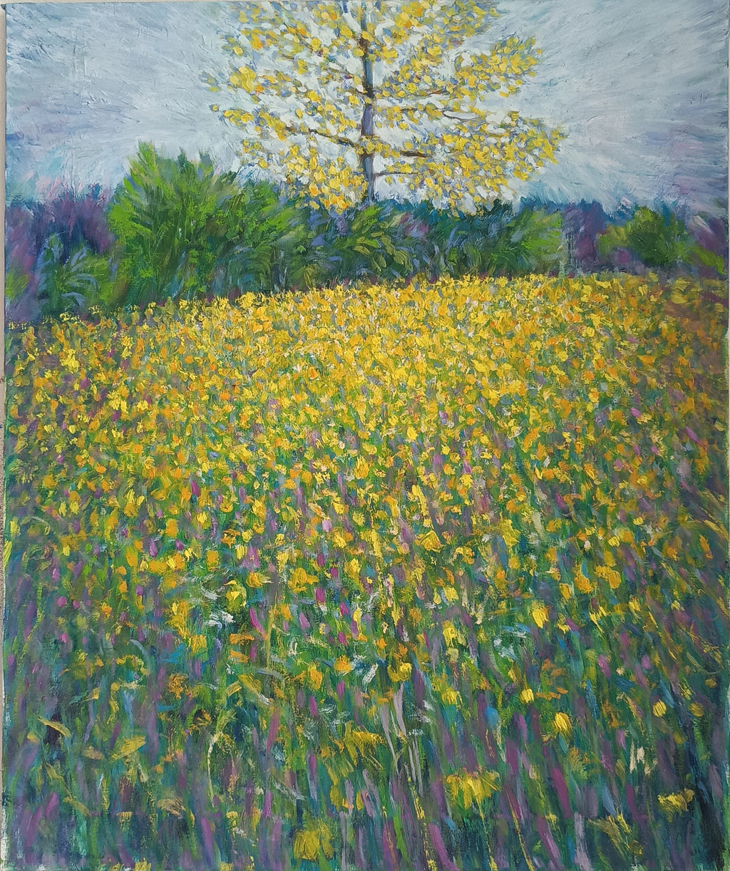 Prato in fiore