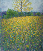 Prato in fiore