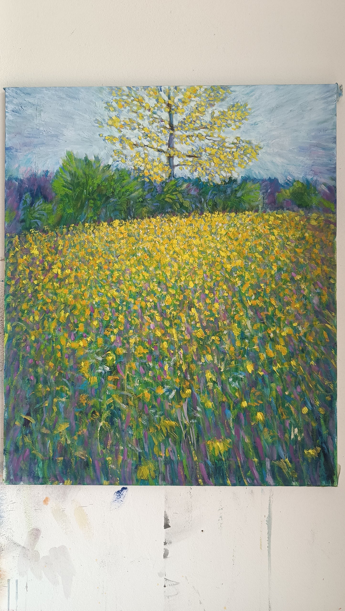 Prato in fiore