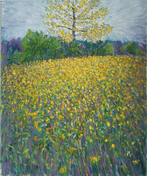Prato in fiore