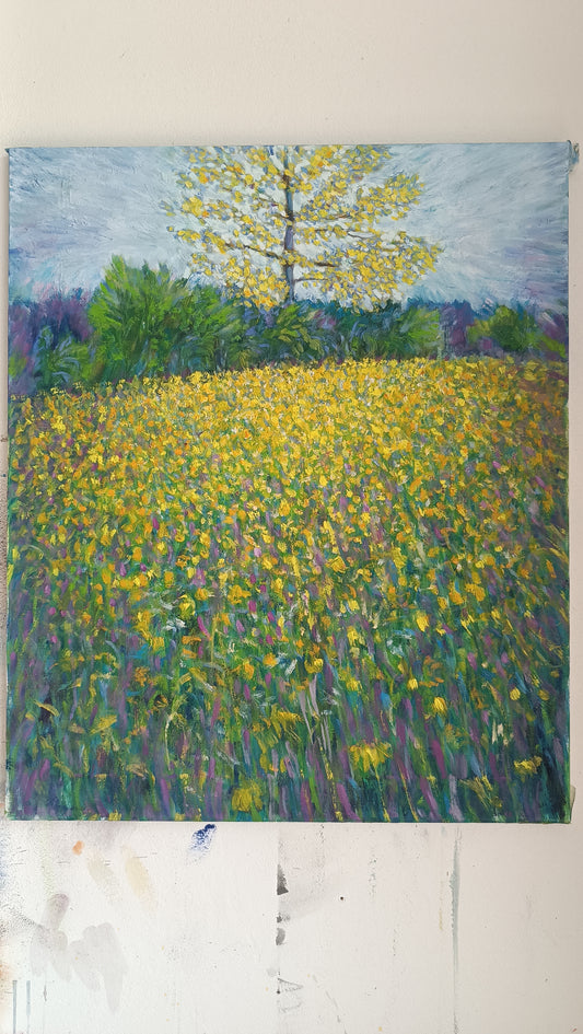 Prato in fiore