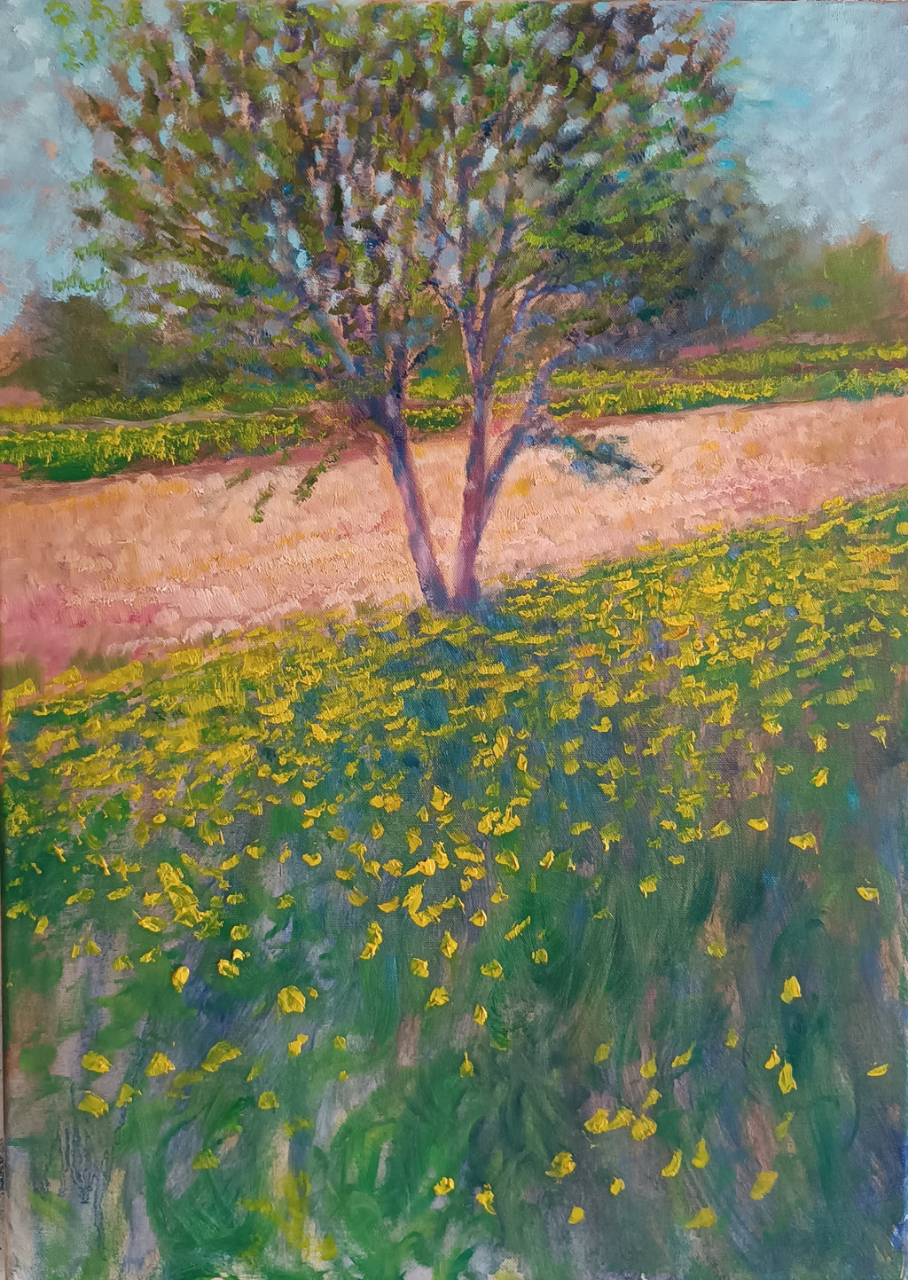 Prato in fiore II