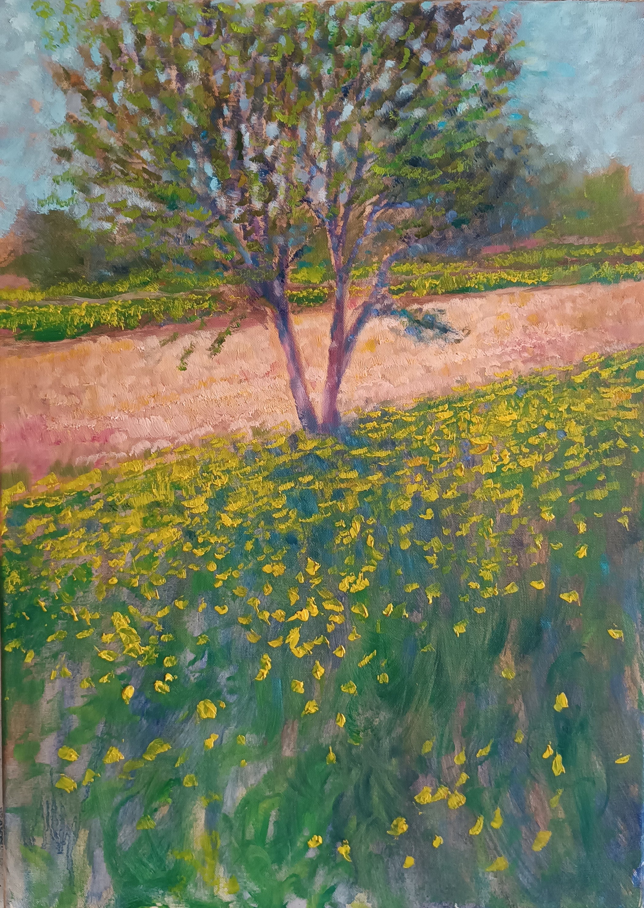 Prato in fiore II