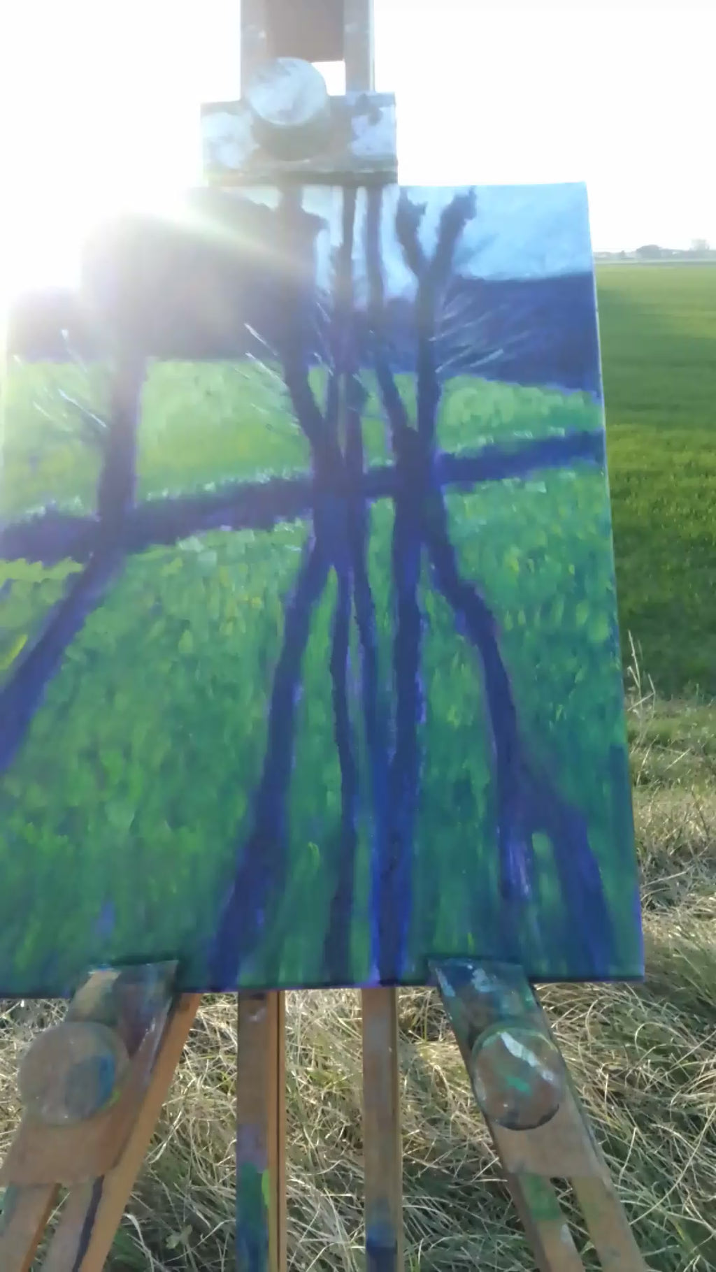 Controluce in un campo di grano a gennaio