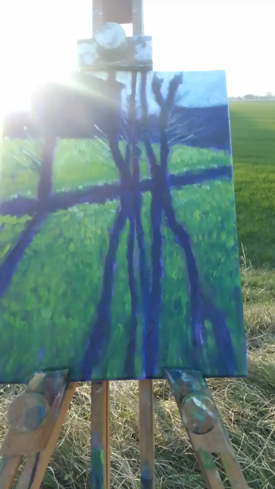 Controluce in un campo di grano a gennaio